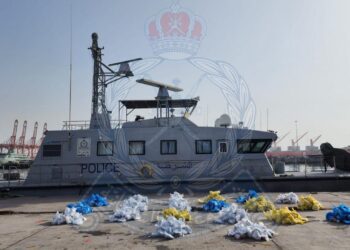 القبض على 5 أشخاص حاولوا تهريب أكثر من 1000 رزمة من مخدر القات