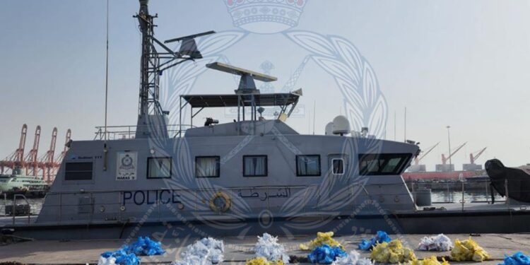 القبض على 5 أشخاص حاولوا تهريب أكثر من 1000 رزمة من مخدر القات