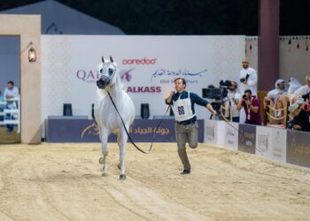 “أوريدو عُمان“ ترعى جولة مسقط من بطولة جمال الخيل العربية ضمن جولة الجياد العربية