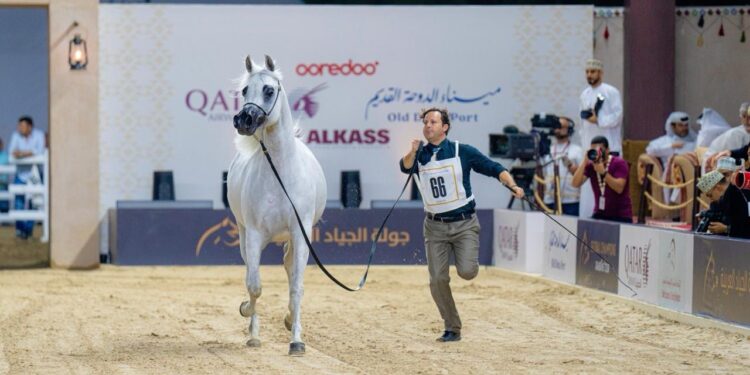 “أوريدو عُمان“ ترعى جولة مسقط من بطولة جمال الخيل العربية ضمن جولة الجياد العربية