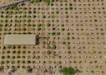 23 مزرعة نموذجية بمحافظة جنوب الباطنة حتى نهاية العام الماضي