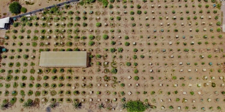 23 مزرعة نموذجية بمحافظة جنوب الباطنة حتى نهاية العام الماضي 1 23 مزرعة نموذجية بمحافظة جنوب الباطنة حتى نهاية العام الماضي