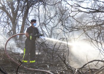 السيطرة على حريق في مجموعة من المزارع والأشجار بالسيب