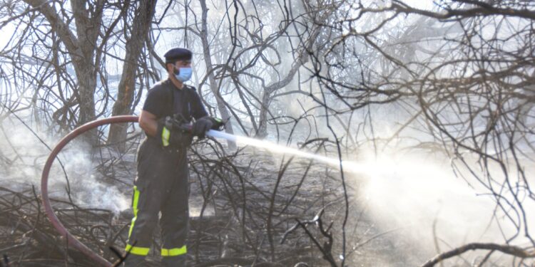 السيطرة على حريق في مجموعة من المزارع والأشجار بالسيب