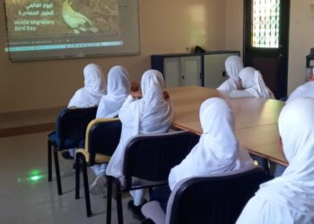 تنفيذ برنامج بيئي توعوي بمناسبة اليوم العالمي للطيور المهاجرة بمصيرة