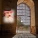 الحكمة الإلهية في سورة النمل 8 الحكمة الإلهية في سورة النمل
