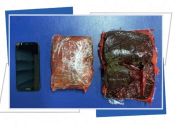 إحباط محاولة إدخال 1.200 كيلوجراماً من مخدر الحشيش عبر منفذ صرفيت