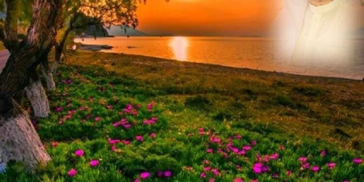 “وقال ربِّ أوزعنِي أَن أشكرنعمتك”.. الشكر والتواضع 1 “وقال ربِّ أوزعنِي أَن أشكرنعمتك”.. الشكر والتواضع