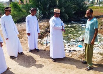 الجهود مستمرة للحد من انتشار البعوضة الزاعجة بالخابورة