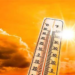 الطقس : صحو على معظم المحافظات