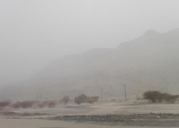 الطقس : تصاعد الغبار والأتربة في المناطق الصحراوية والمكشوفة