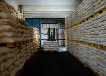 “المطاحن العمانية” تسجل نمواً ملحوظا بنسبة 25% في صادرات الطحين لعام 2023