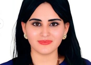 دور الدبلوماسية في تحقيق السلم والاستقرار العالمى