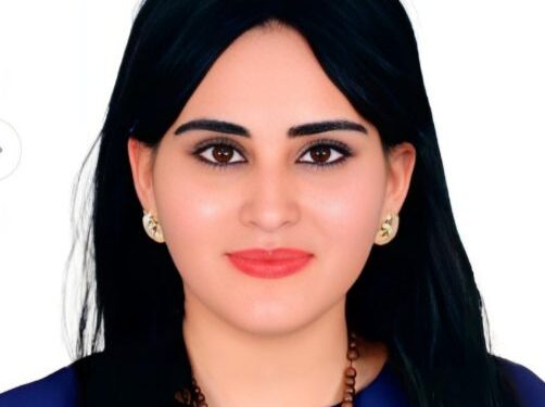 دور الدبلوماسية في تحقيق السلم والاستقرار العالمى