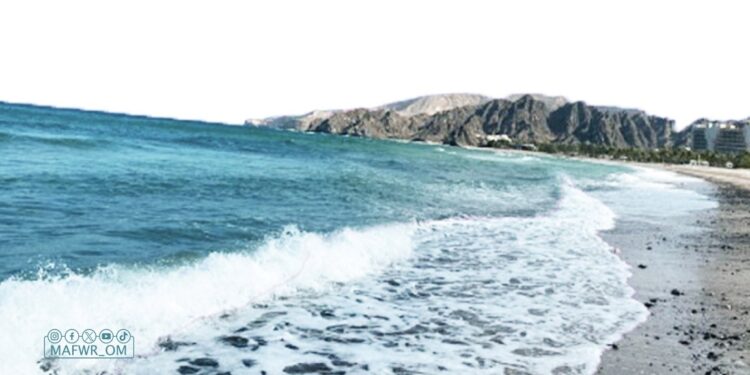 توضيح حول ما تم تداوله بشأن تأثر بعض قوارب الصيادين بالحالة المدارية “أسنا”