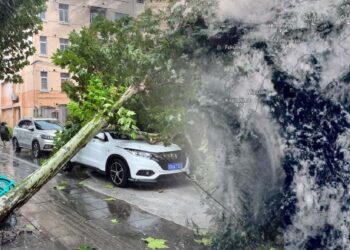 سفارتنا في بيجين تصدر تنويها بشأن تطورات إعصار “بيبينكا”