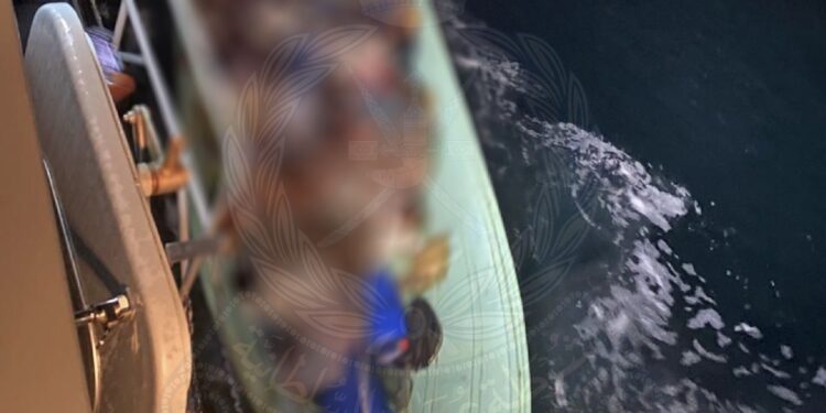 ضبط 25 متسللًا حاولوا دخول البلاد بطريقة غير شرعية