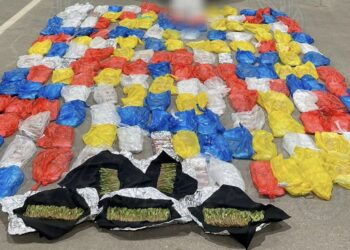 القبض على شخص لحيازته أكثر من 65 كيلوجرامًا من مخدر القات في البريمي