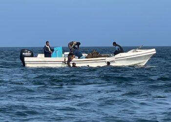 حملة تنظيف الشعاب المرجانية بولاية مصيرة