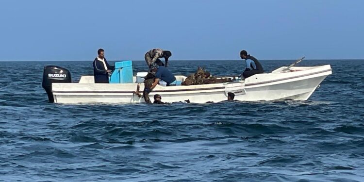 حملة تنظيف الشعاب المرجانية بولاية مصيرة 1 حملة تنظيف الشعاب المرجانية بولاية مصيرة