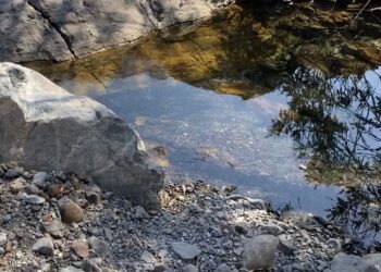 رحلة ممتعة إلى وادي حلحل