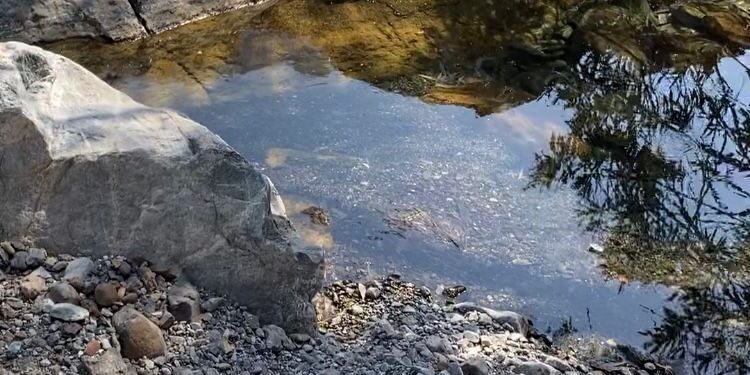 رحلة ممتعة إلى وادي حلحل