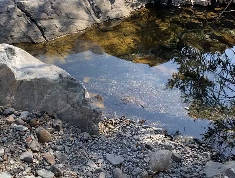 رحلة ممتعة إلى وادي حلحل
