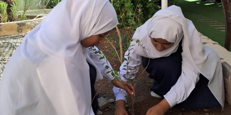 هيئة البيئة بشمال الشرقية تنظم محاضرة توعوية بـ “مدرسة بعد” بالمضيبي 1 هيئة البيئة بشمال الشرقية تنظم محاضرة توعوية بـ “مدرسة بعد” بالمضيبي