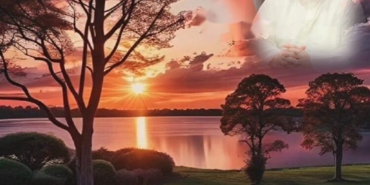 سورة النمل.. حكمة الله في قصصها 1 سورة النمل.. حكمة الله في قصصها