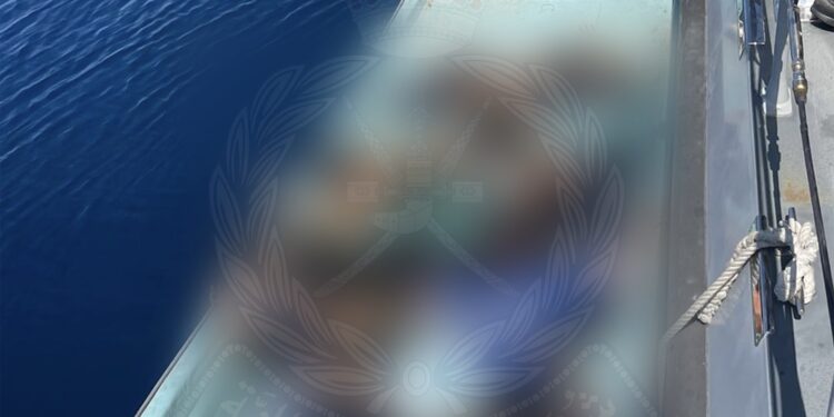 القبض على 13 آسيوياً حاولوا الخروج من البلاد بطريقة غير شرعية بشمال الباطنة