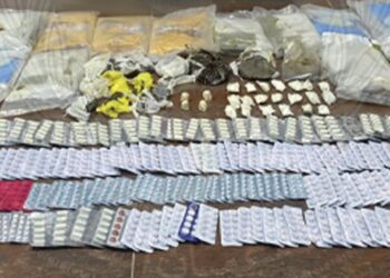 القبض على آسيويين لحيازتهما كميات من المواد المخدرة بجنوب الشرقية