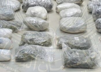 القبض على 3 آسيويين بحوزتهم كميات من المواد المخدرة