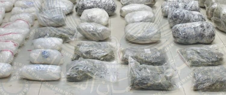 القبض على 3 آسيويين بحوزتهم كميات من المواد المخدرة