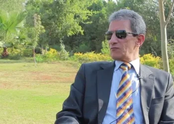 أثر الواقعية في الانتخابات الأمريكية