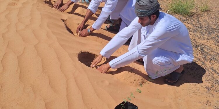 للحد من ظاهرة زحف الرمال.. استزراع أشجار برية بمنطقة الراكة بولاية بدية