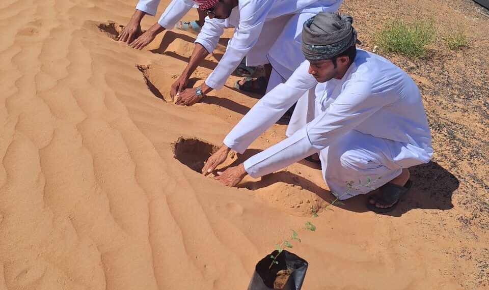 للحد من ظاهرة زحف الرمال.. استزراع أشجار برية بمنطقة الراكة بولاية بدية