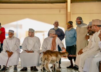 بعد أربع سنوات حلقات المناداه تعود لسوق ولاية سناو