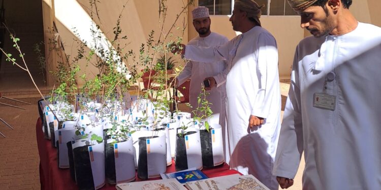 هيئة البيئة بشمال الشرقية تحتفل بيوم البيئة العماني 1 هيئة البيئة بشمال الشرقية تحتفل بيوم البيئة العماني