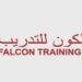 معهد فالكون للتدريب تعلن وظيفة شاغرة