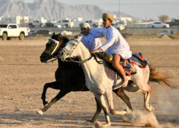 ‏ضمن مهرجان سناو مقصدنا نادي سناو للفروسية ينظم سباق التحدي والإثارة في ميدان القادسية