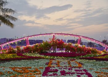 مهرجان الزهور الرابع بالواجهة البحرية في القطيف يشهد حضور أكثر من 80 ألف زائر خلال 6 أيام