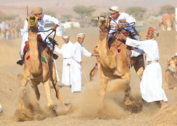 مهرجان النبأ السنوي لركض العرضة : حدث استثنائي يعكس عراقة التراث العماني