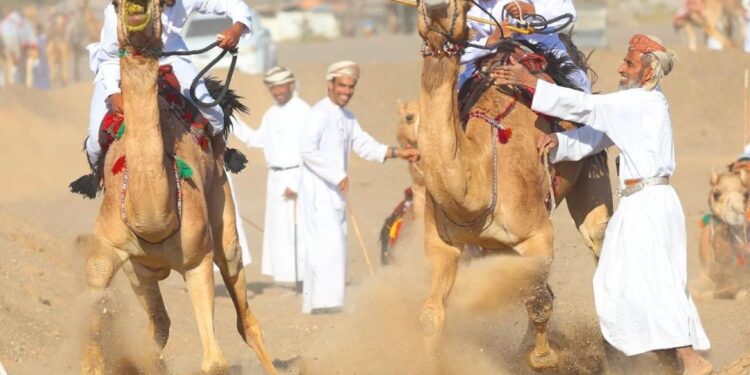 مهرجان النبأ السنوي لركض العرضة : حدث استثنائي يعكس عراقة التراث العماني