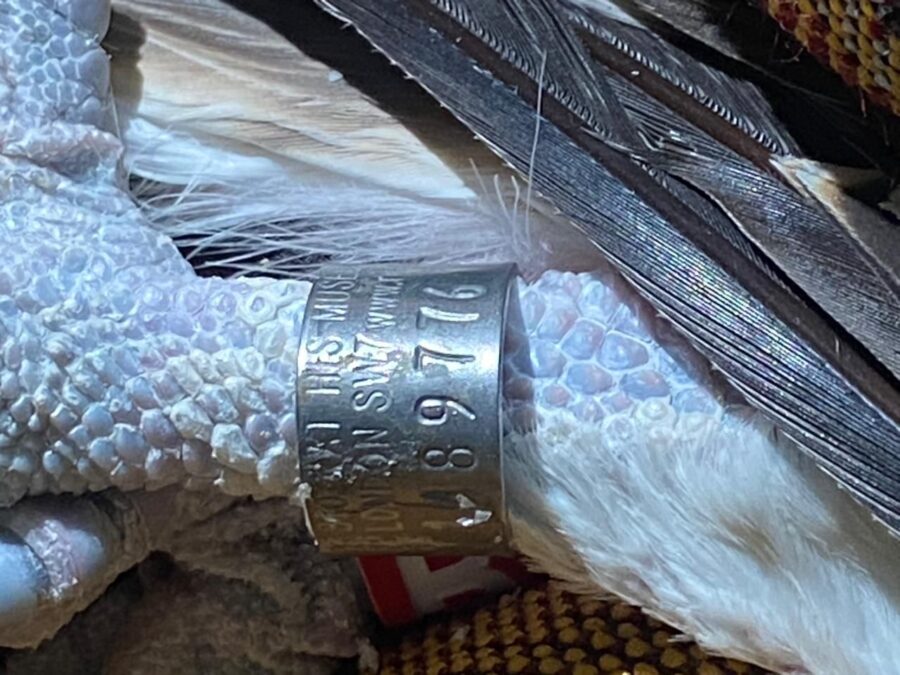 418b2de9 9054 4462 b91d f9776c15dd70