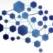 شركة إدارة التحول الرقمي تعلن وظيفة شاغرة