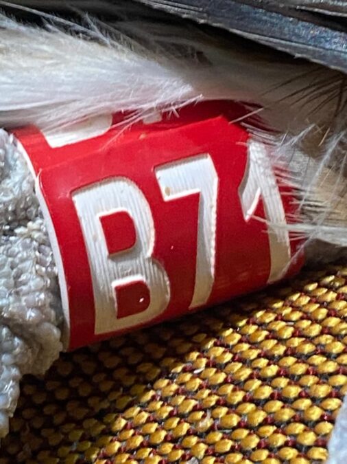 bbf30359 970c 4546 93b6 e82ce8ff98a4