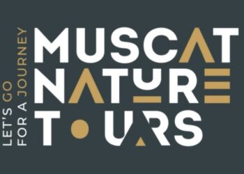 شركة أم أن تعلن وظائف شاغرة