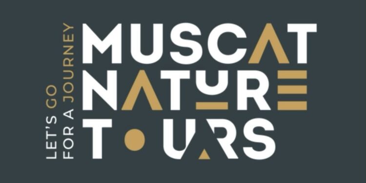 شركة أم أن تعلن وظائف شاغرة