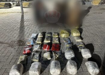 ضبط 3 أشخاص حاولوا تهريب كمية من مخدري الحشيش والمارجوانا عبر البحر