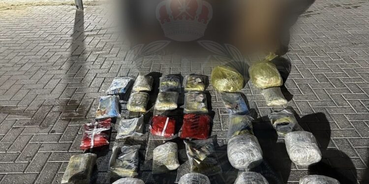 ضبط 3 أشخاص حاولوا تهريب كمية من مخدري الحشيش والمارجوانا عبر البحر